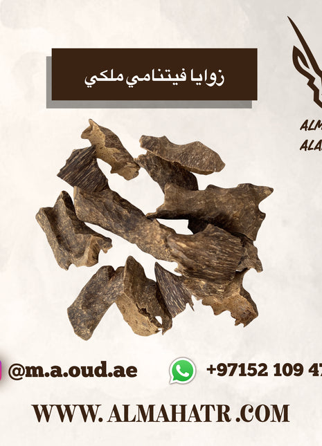 زوايا فيتنامي ملكي (تولة=12جرام)